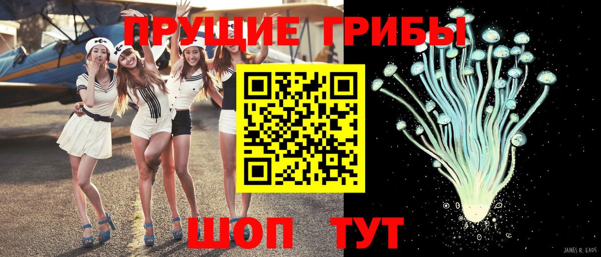 Псилоцибиновые грибы мицелий  Вход с VPN  Ипатово 