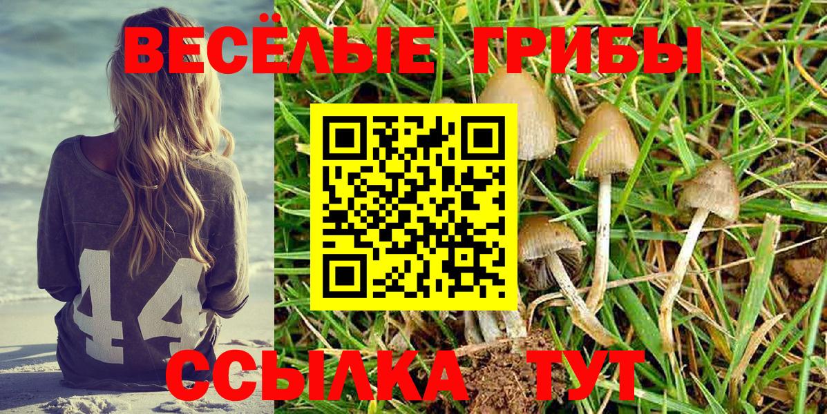 Галлюциногенные грибы мухоморы Ипатово